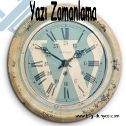 Wordpress Yazı Zamanlama, Zaman Ayarı Nasıl Yapılır (Resimli)