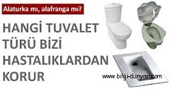 Alafranga tuvaletler mi daha sağlıklı yoksa alaturka olanlar mı? width 250 height131