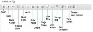 wordpress-metin-editoru-1